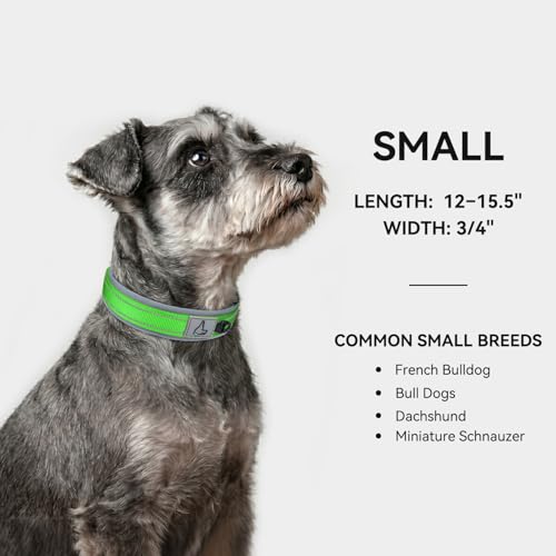 Image of Joytale Dog Collar for Small Dogs, Neoprene Padded and Adjustable, Reflective Wide Heavy Duty Pet Collars with Durable Metal Belt Buckle for Walking, Green, S