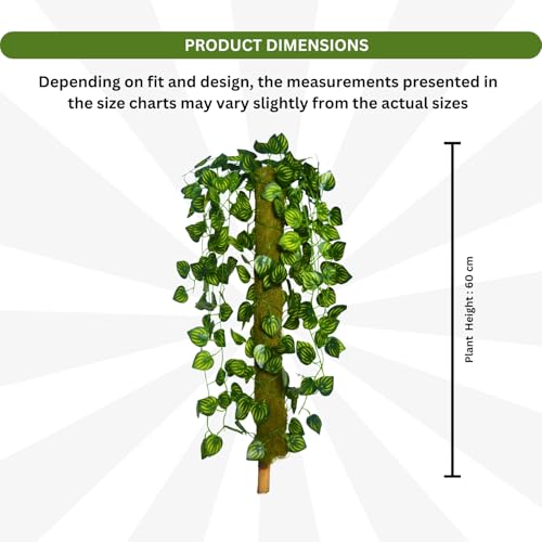 Image of fancymart Artificial Green Leaf Hanging Creeper on Moss Stick (Without Pot) - 60 cm Tall Hanging Creeper Plant for Indoor Home, Office, Restaurant & Cafe Decoration