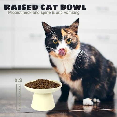 Image of Wide Shallow 6.1 inch Raised Cat Bowls, Ceramic Elevated Food Plate for Flat Faced Cats and Small Dogs, Porcelain Feeder Bowl, Stress Free, Protect Cat's Spine, Cream