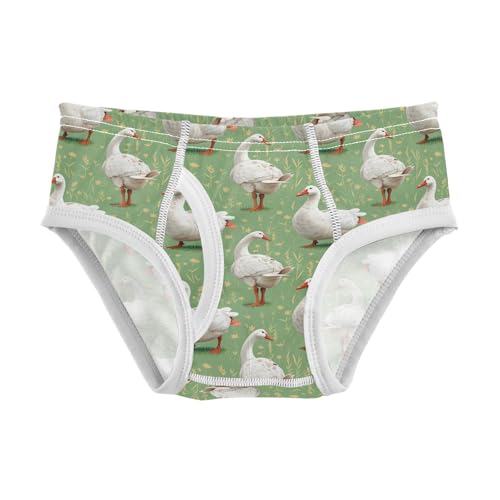 visesunny Boys Potty Training Underwear Leaf Grassland Goose Breathe Cotton Briefs Size 2T-8Y for Toddler