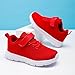 Boy Girl Tennis Shoes Big Kid Lightweight Mesh Sneakers Unisex Fashion Casual Hook and Loop Fasteners Running Shoes (Red,13)