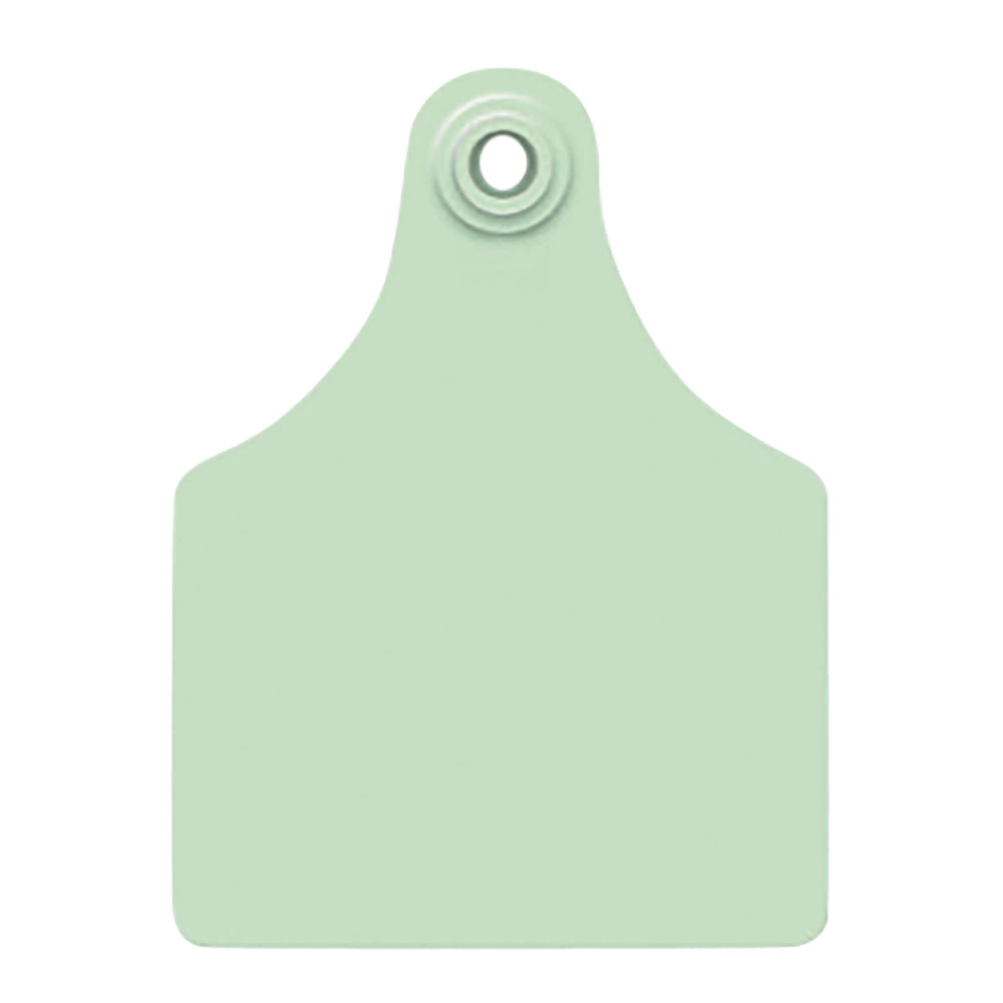 ALLFLEX Maxi GLBL TAG GRN BLNK 25'S