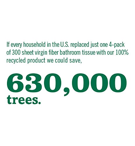 Image of Seventh Generation Bathroom Tissue, 2-ply, 300 Sheets, 4 Count (Pack of 12)