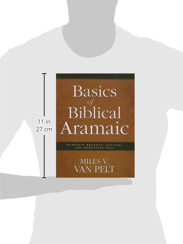 Basics of Biblical Aramaic: Complete Grammar, Lexicon, and Annotated Text