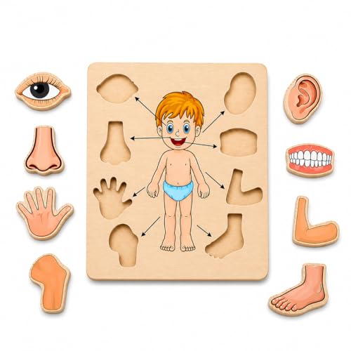 Image of Body Part Puzzle Kids Wooden Toys for Kids 3 + Jigsaw Puzzles for Adults Baby Learning Toys Educational Toys Game for Learning Human Body Parts Anatomy Skeleton - Gift Toys for Boy and Girl