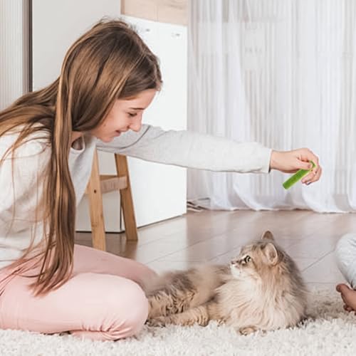 Aomhrek Katzengras Sticks, Katzengras Snack, Katzenminze, Katzen Snacks, Katzen Zahnpflege, Gefriergetrocknet Snacks FüR Die Zahnpflege Und HaarknäUel Entfernen