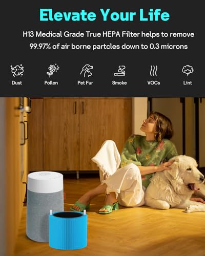 Image of Leemone 2 Pack mini Max AllergenBlock Filter Compatible with Blueair Blue Pure Mini Max Air Purifiers, Activated Carbon FMINI Filter