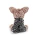 Imagen de Apricot Lamb Yorkshire