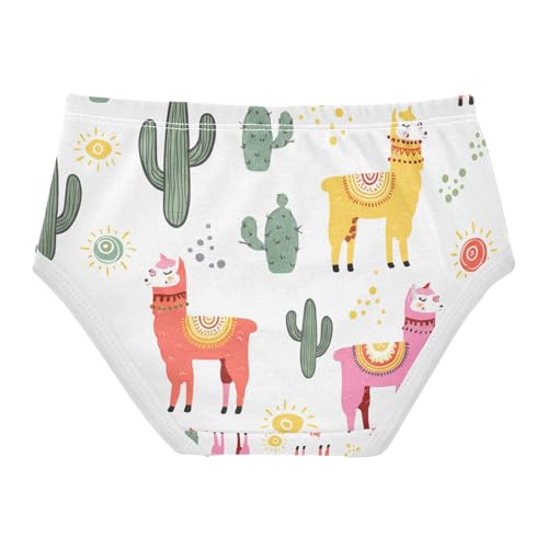 Colorful Alpaca Cactus Llamas Toddler Girls's Underwear 2T 202c12252
