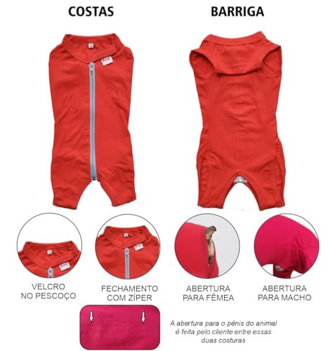 Roupa Pós Cirúrgica Pet Para Castração de Cachorro Macho e Fêmea - Vermelho, Verde e Rosa (Vermelho,