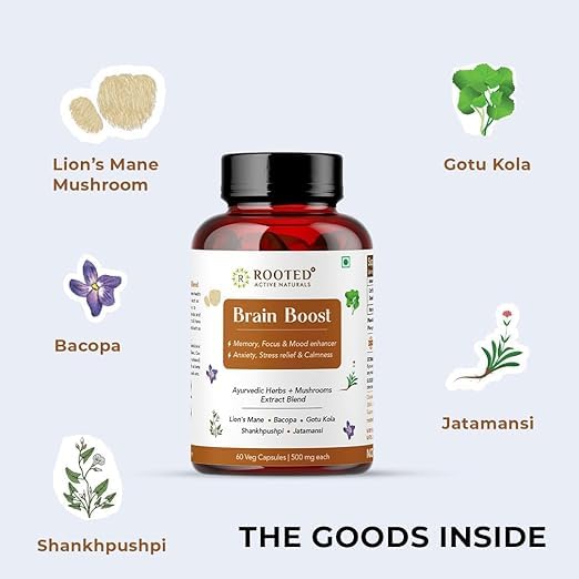 Rooted Actives Brain Booster Bundle : USDA Organic Lions Mane Mushroom Extract Capsules & Brain Boost supplement for Focus, Memory, Brain wellness (60 Capsules Each) (30 Day Supply) - Image 6 thumbnail