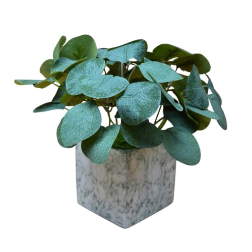 Image of fancymart Artificial Plant with Real-Touch Leaves in Pot, 25 cm, Indoor Tabletop Item for Home Decor, Office, Living Room
