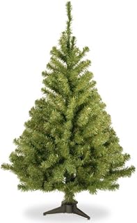 National Tree 3 Foot Kincaid Spruce Tree (KCDR-30-1)
