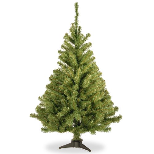 National Tree Company 3 ft Unlit Kincaid Spruce Mini Artificial Christmas Tree, 113 Tips, Includes Stand, Green by National Tree Company - Used condition - CA$11.35