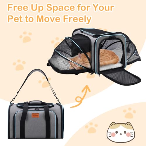 Expandable Airline Approved Pet Carrier, Soft-Sided Travel Bag for Small Cats Dogs with Hard Shell Base, Removable Fleece Pad, Ventilated Mesh, Gray (Blue Trim) - Image 3