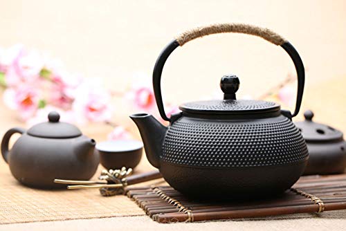 HwaGui - Cast Iron Teapot with Stainless Steel Infuser,27 Ounce HwaGui - Cast Iron Teapot with Stainless Steel Infuser,27 Ounce