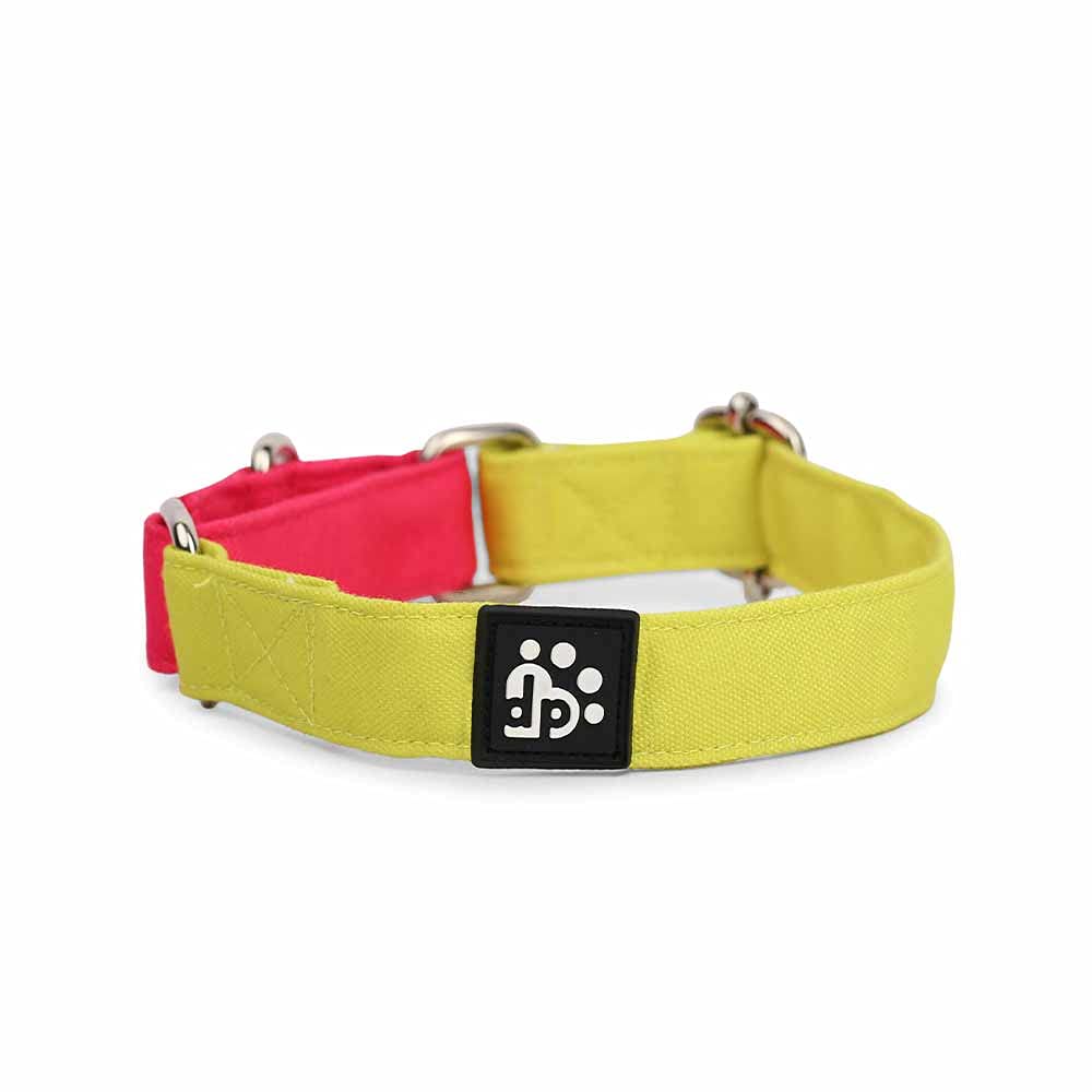 Dear Pet Double Trouble Martingale Lime & Pink Collar for Small, Medium and Larges Dogs (Suitable for All Breeds) (Medium) (B09CZ7BVT7) Amazon Price History, Amazon Price Tracker