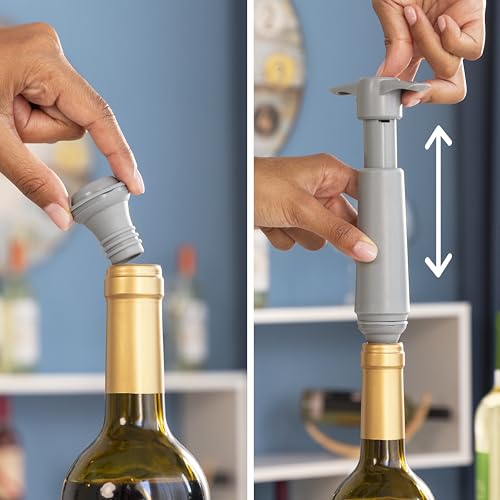Pompe à vide vin kit de conservation complet à offrir aux amateurs