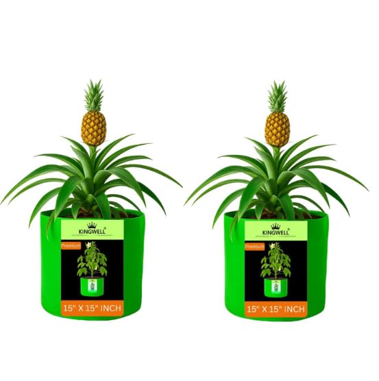 Image of Kingwell grow bags 15x15 inch pack of 2 Grow Bag For Terrace Garden Leafy Vegetable Plant Grow Bags Fruits Growing Containers For terrace Gardening
