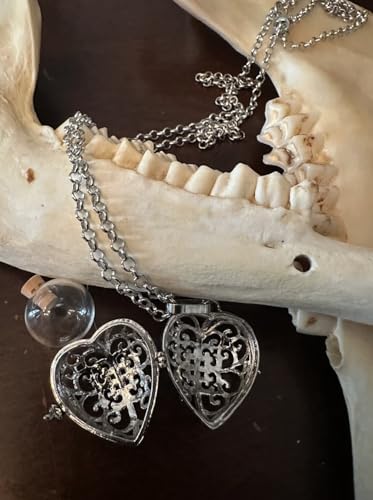 Heart Locket Blood Vial Necklace Kit - Create a Victorian-Inspired, One-of-a-Kind Handmade Necklace - Symbolic and Meaningful4