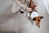 HUNTER Hundegeschirr HILO COMFORT, Farbe: braun, Easy Step-In Geschirr für kleine bis mittlere Hunde, mit Netzmaterial, reflektierende Elemente, angenehm leicht, modernes Design Größe: XS-S