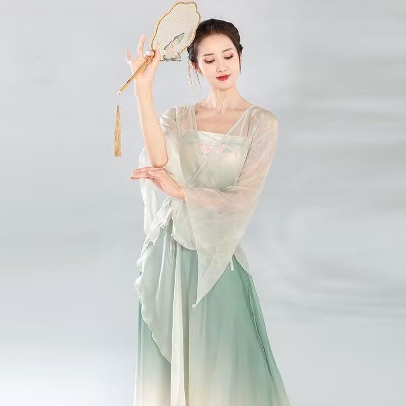 Chinese Style Folk Dance Classical Dancer Performance Costumes Elegant Practice Clothes Chinese Dance Costume