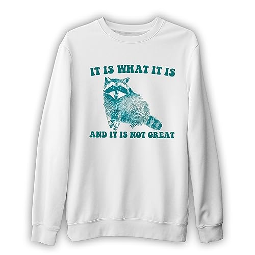 It Is What It Is And It Is Not Great - Vintage Drawing Sweatshirt, Raccoon Meme Sweatshirt, Funny Trash Panda Sweatshirt, Unisex Sweatshirt