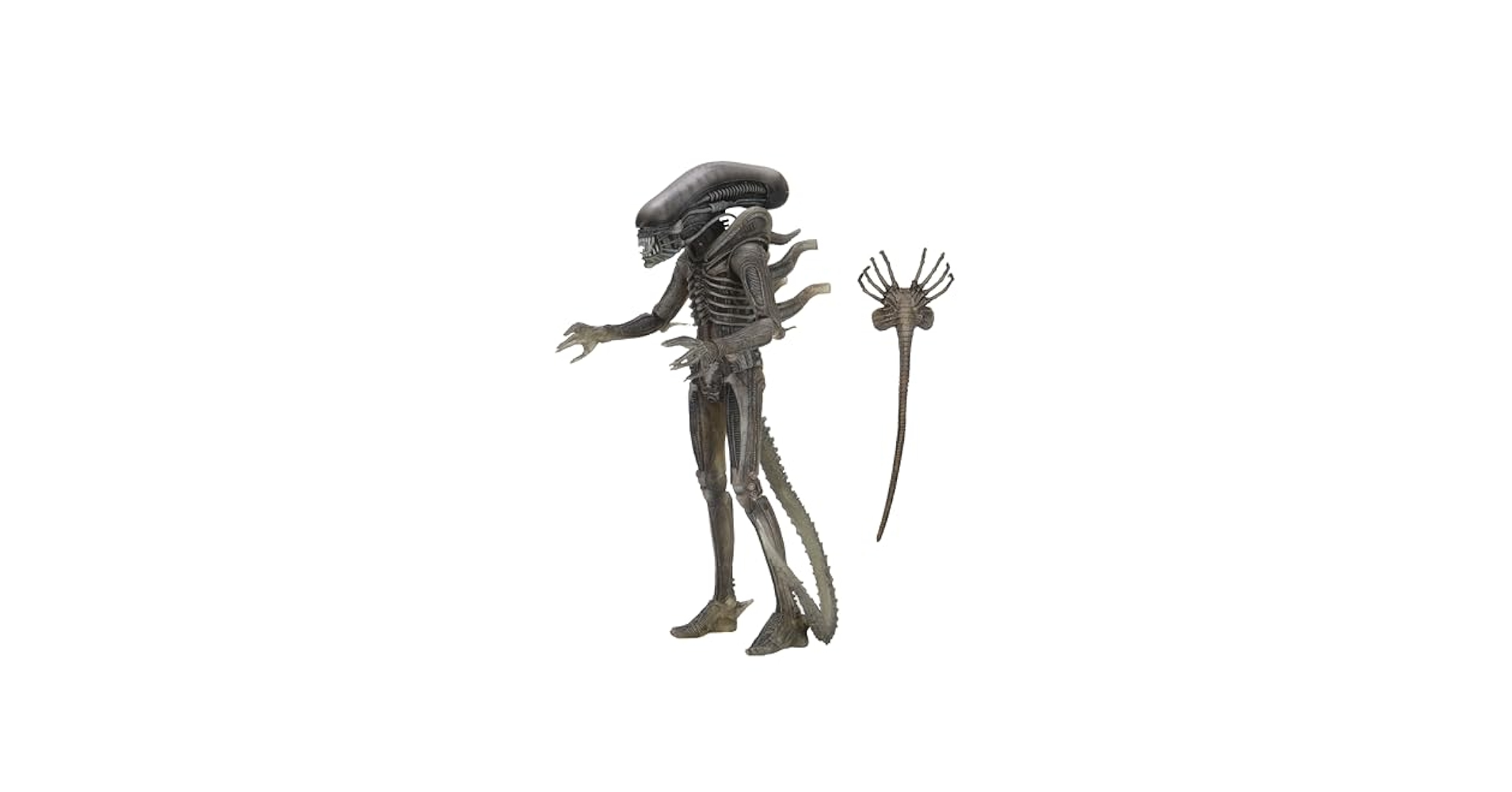 Amazon.com: NECA Alien 40th Anniversary 7