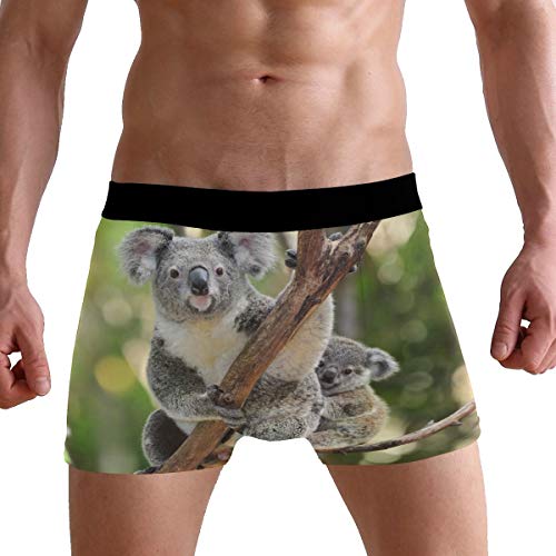 ZZKKO Chameleon Sunflower Mens Boxer Briefs Underwear Breathable Stretch Boxer Trunk with Pouch S-XXL3