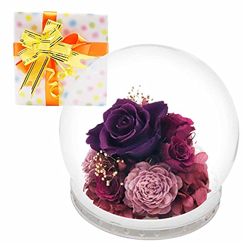 vU[uht[ h[ KXh[ [Y o vU[uh AW a΃V[Y 2 AWXg