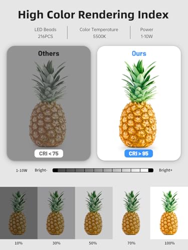 Glendan Light Box Photography, Portable Photo Studio Light