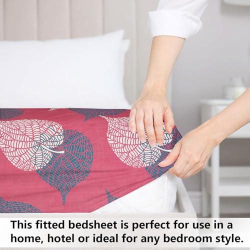 Image of SANMARINO Premium Cloud Cotton 360 Fitted King Bedsheet with 2 Pillow Covers | 300 TC Soft Fabric | Deep Pocket Elasticated Bed Sheet (78 x 72 + 10 Inches) (Raspberry Sorbet)