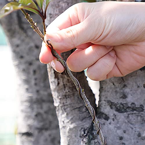 Wazakura 300 Gr Brown Anodized Aluminum Bonsai Training Wire Made In Japan (6 Mm, Brown) #TOP7