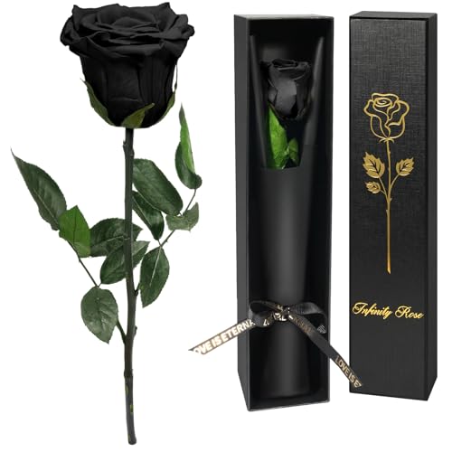 Yamonic Rosa Eterna Regalos para Mujer, Rosa Preservada con Tallo Regalo Dia de la Madre Regalo Cumpleaños Mujer, Flores Preservadas Regalos Madre, Rosa Eterna Natural Preservada Regalo San Valentín