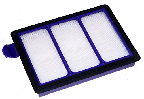 Dyson DC22 Allergie Post-filtre