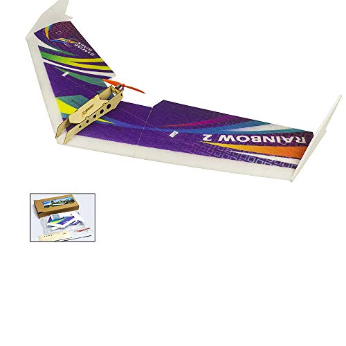 Avión RC de entrenamiento Rainbow Flying Wing II de 1000 mm para tardes de vuelo 2