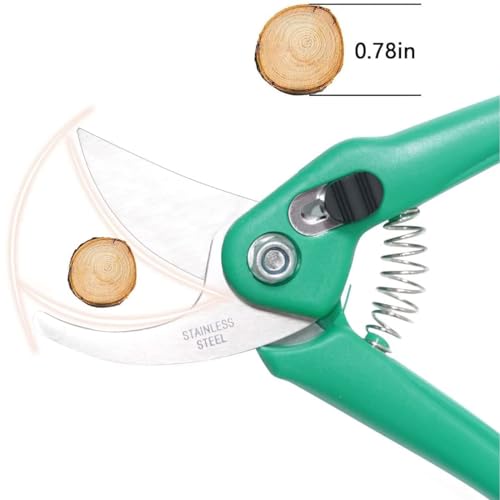 Image of JD FRESH Hand Pruner Cutter /Stainless Steel Bypass Blade Pruning Shears /Safety Lock /Non Slip Handle /Return Spring /Garden Scissors and Plant Cutter for Gardening /Plants /Bushes & Hedges /Branches (Green)