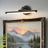 Hardwired Picture Lights For Wall, Led...