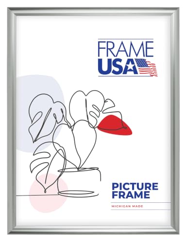 FrameUSA 9x12 Silver Picture Frame, Home Wall Decor for Art and Photos