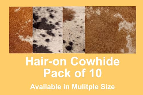 Natural Cowhide Leather Squares, Mixed Colors Hair-On Hide, 6 * 6 Inch, Pack of 10 (Brown) by AARON LEATHER GOODS VENDIMIA ESTILO - Image 2