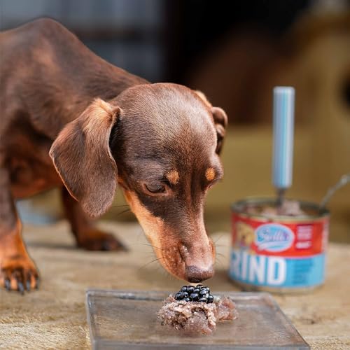 Nassfutter für Hunde mit hohem Fleischanteil von Sollis, getreidefrei, 6x400g