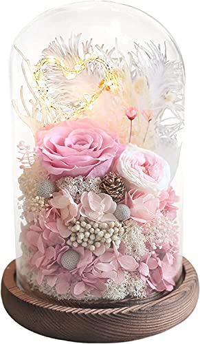 Cupola di rose nere conservate con luci: fiore per anniversario e San Valentino - Italia
