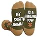 HAPPYPOP Highland Cow Gifts Women Men - Scottish Style Socks, Hyland Cow Gifts for Teens