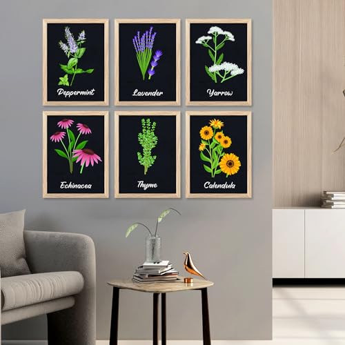 Image of kotart Kitchen Herbs Digital Painting for Wall Decoration - Minimal Cooking Art Prints Restaurant Dinning Room Decor (14X20 Inch, E) Pack of 6