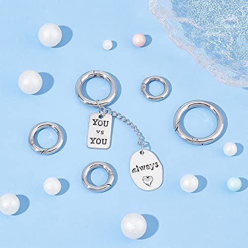 UNICRAFTALE 5Pcs Spring Gate Rings Stainless Steel Snap Clasps 10~20mm Inner Ion Plating(IP) Round Clips Snap Hooks Spring Keyring Buckle Clasps for Bag Purse Shoulder Strap Key Chains - Image 2