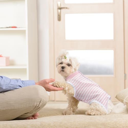 Image of FEimaX Dog Surgery Recovery Suit Female and Male Spay with Pee Hole, Pet Body Suits for Puppy After Spayed, Neuter Surgical Onesie for Small and Medium Dogs Cats, Alternative Bandages E-Collar & Cone