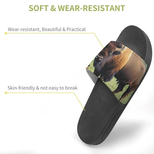 Bison Family Mom And Little Slippers for Men Wormen Shower Bathroom Slipper Indoor Beach Non Slip Sandal3