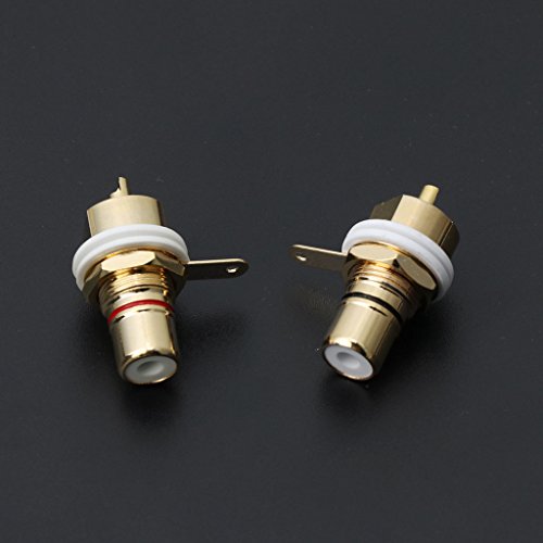 YoungerY Connettore dell'amplificatore Audio Fever...