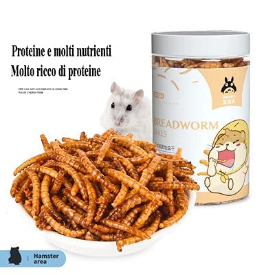 JONSANTYGFRY Cibo per Criceti Ricci, cincillà, lucertole, Rane, Uccelli, Ricci, Snack nutriente, ad Alto Contenuto proteico, Verme del Pane Cotto
