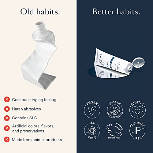 Better & Better Purity Toothpaste | Fluoride Free, Sls Free Toothpaste For Sensitive Brushers | 1 Ct Mini Tube | Fresh Breath With Organic Mints | Natural, Vegan, Whitening Toothpaste To Remove Plaque #TOP3